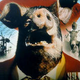Illustration for article titled If Youre Reading This Post, You Now Have Swine Flu